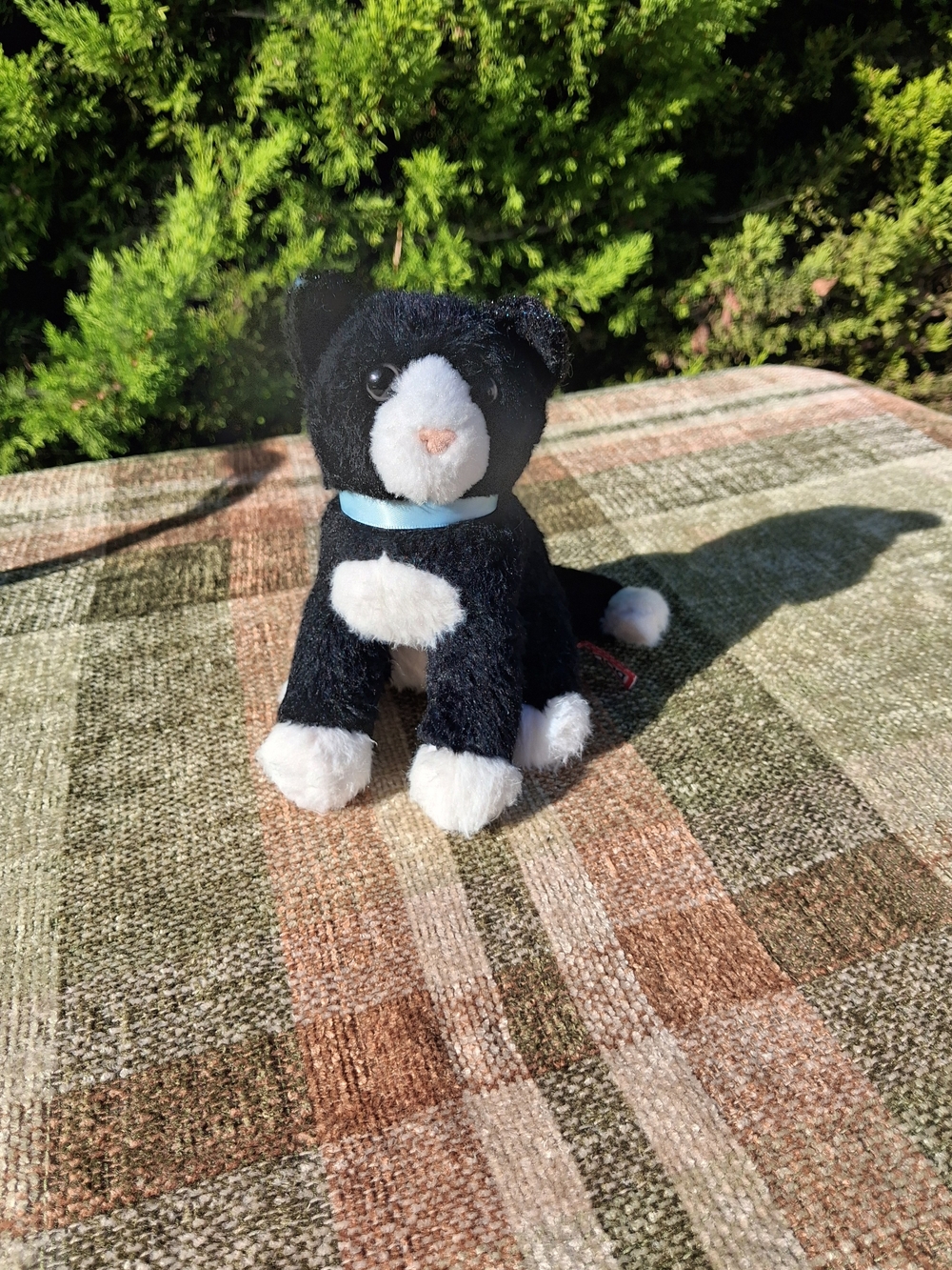 Beckie Douglas Plush White Black Cat Stuffed Animal Cuddld Toy